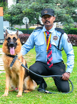 service